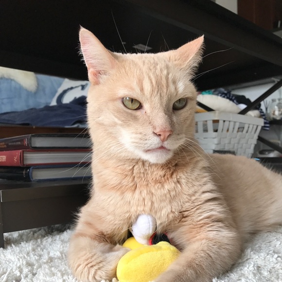 Pleased to meet you! - Picture 3 of 3